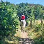 Au Coq Et Fa Gnes * Jalhay