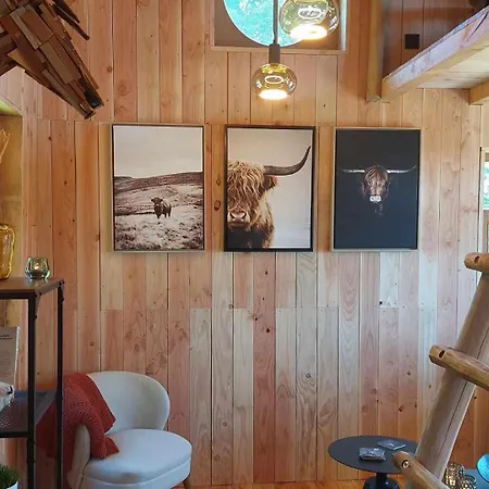 Au Coq Et Fa Gnes Jalhay