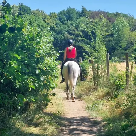 Au Coq Et Fa Gnes * Jalhay