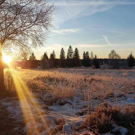 Au Coq Et Fa Gnes Chalet *