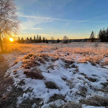 Au Coq Et Fa Gnes Chalet