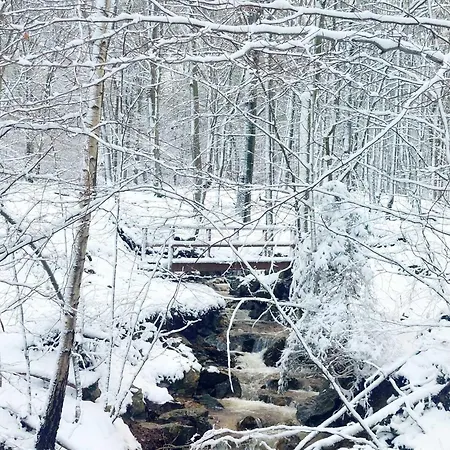 Au Coq Et Fa Gnes בקתה יאלהיי