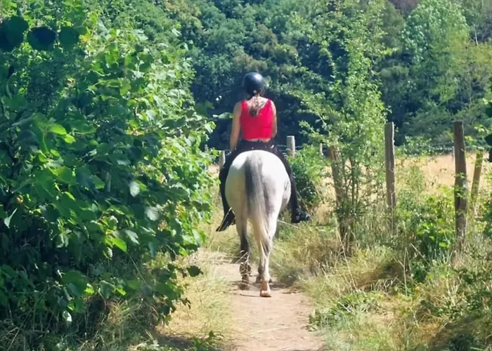 Au Coq Et Fa Gnes * Jalhay