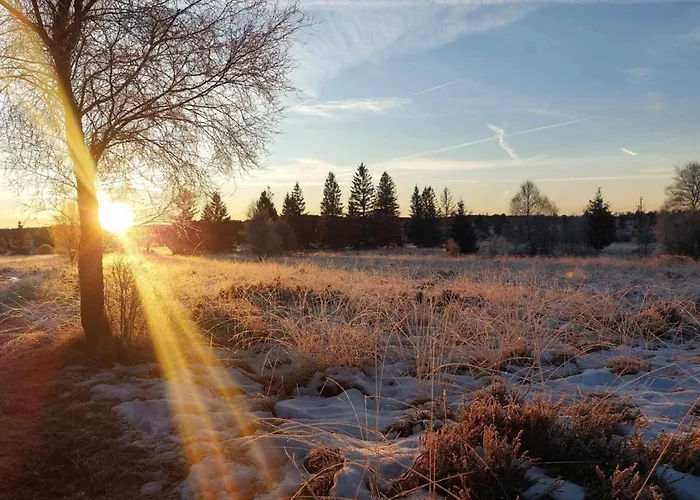 Au Coq Et Fa Gnes Chalet *
